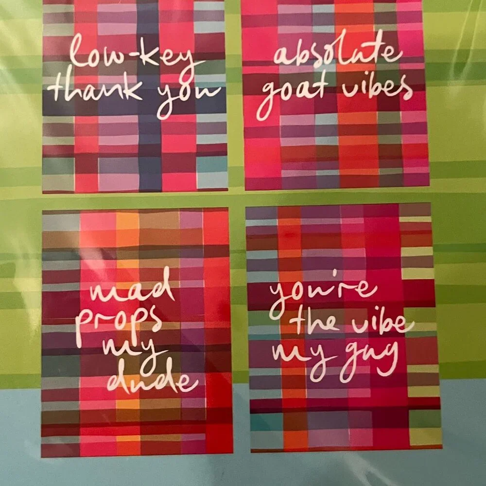 Funny‎ Thank You Cards Two Box Set Blank Inside Bright (New by Furbish)
